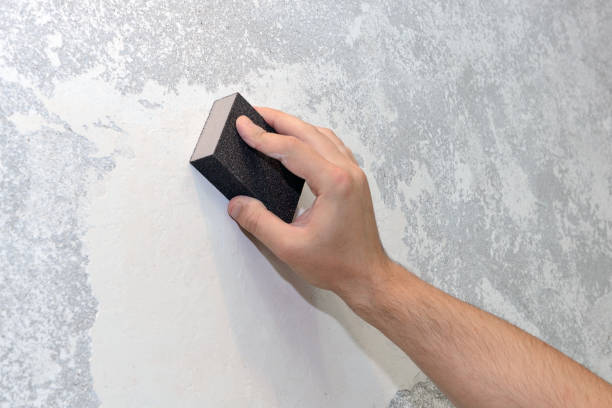 Best Water Damage & Mold Remediation  in Mounds View, MN