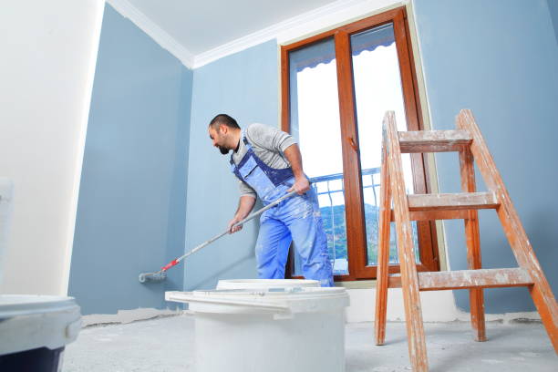 Best Post-Construction Mold Inspection  in Mounds View, MN