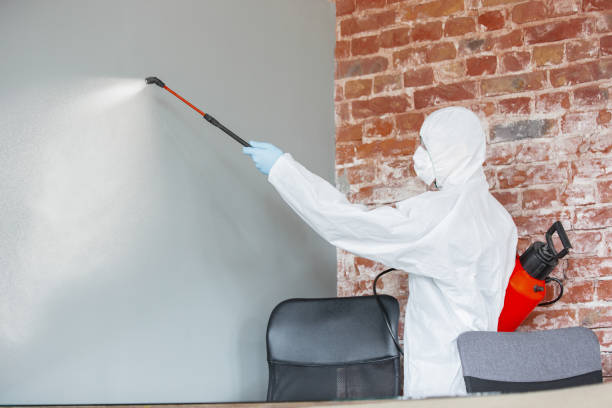 Best Mold Prevention Services  in Mounds View, MN