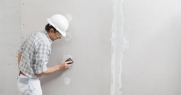 Best Mold Documentation for Insurance Claims  in Mounds View, MN