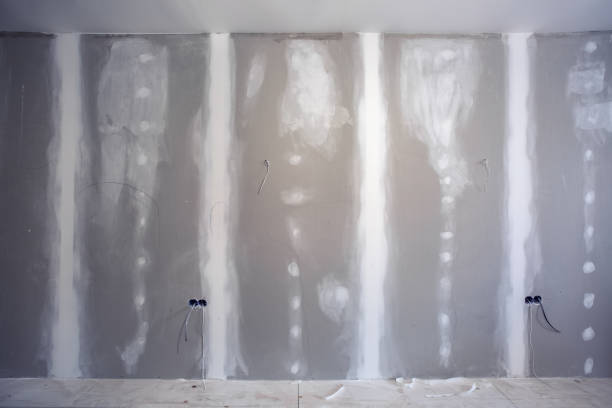 Mounds View, MN Mold Removal Company